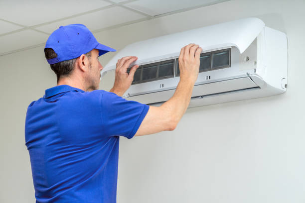 Best Air Duct Mold Removal  in Cypress Gardens, FL